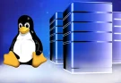 6 Advantages of Choosing Linux-based Reseller Hosting