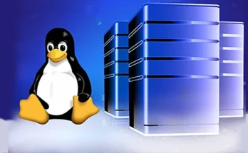 6 Advantages of Choosing Linux-based Reseller Hosting