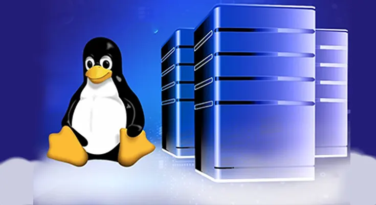 6 Advantages of Choosing Linux-based Reseller Hosting